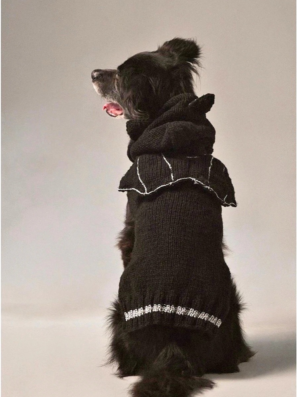 Anthropologie Wool Halloween Pet Sweater Black XXL